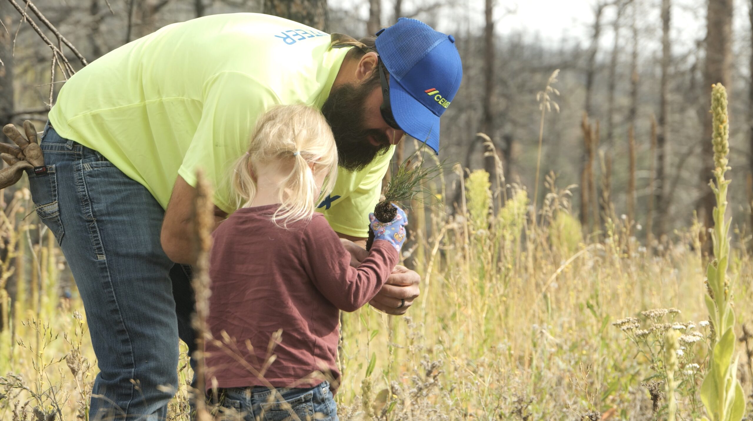 Cemex & One Tree Planted