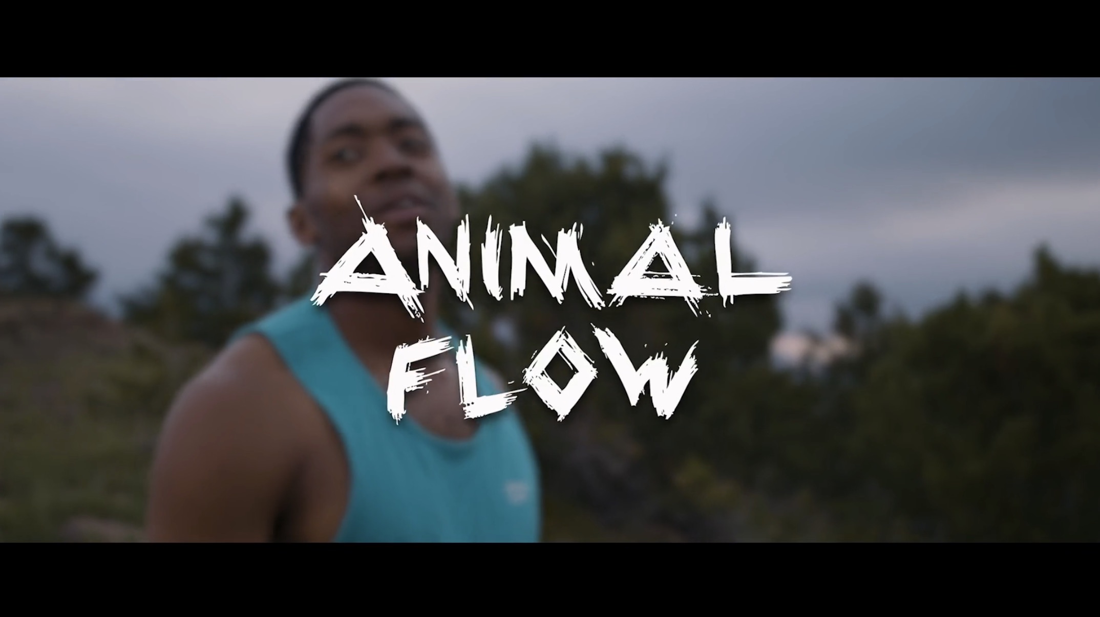 Animal Flow gallery