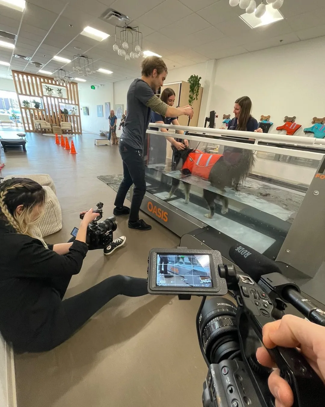 On location at Walking Paws Rehab in Boulder, Co